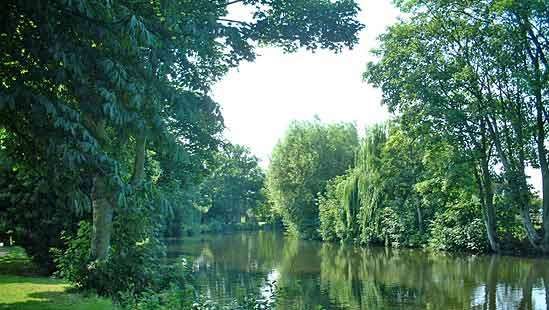 Rivière Wensum