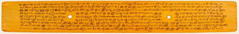 Uma página em folha de palmeira do Aṣṭādhyāyī